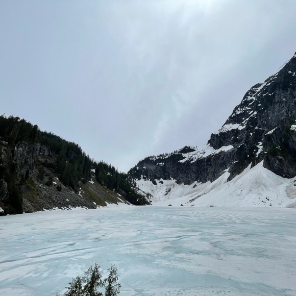 Meet your Posher, Jessica - Picture 1 of 1